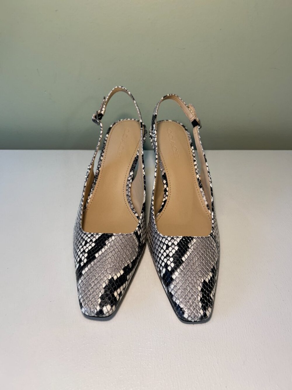 Coach Women's Slingback Heel With Snake Print - Picture 3 of 14